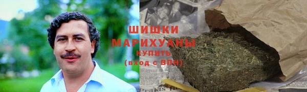 ГАЛЛЮЦИНОГЕННЫЕ ГРИБЫ Магас