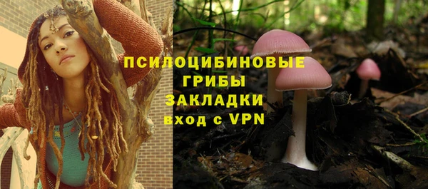 прущий лед Липки