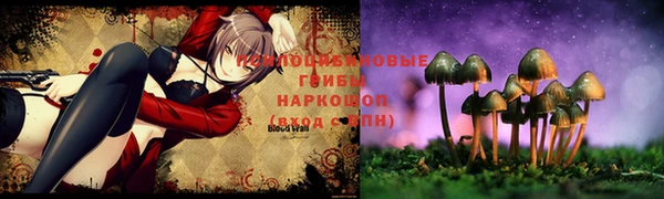 дурь Майский