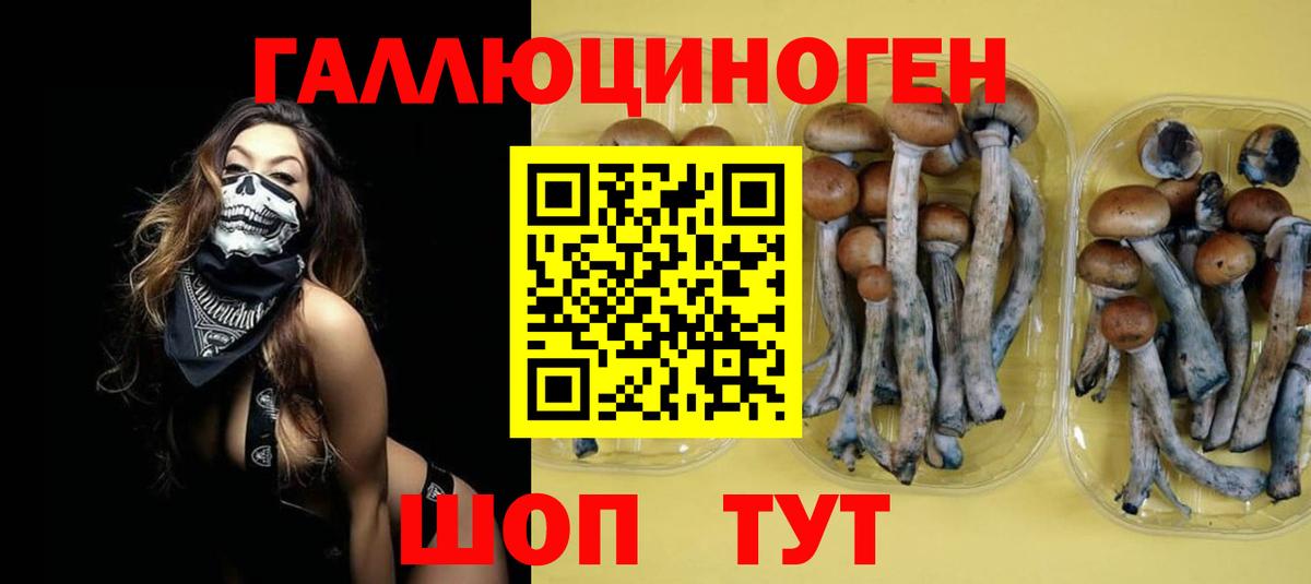 Галлюциногенные грибы прущие грибы Искитим