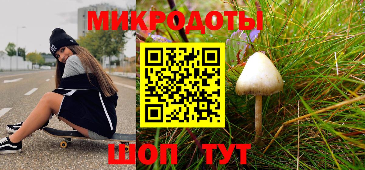 Искитим  где продают   Вход с VPN  Псилоцибиновые грибы Psilocybe 
